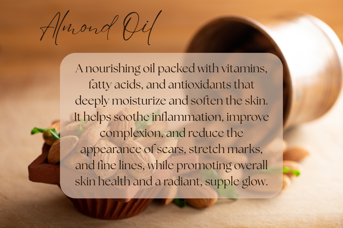 Body Lotion